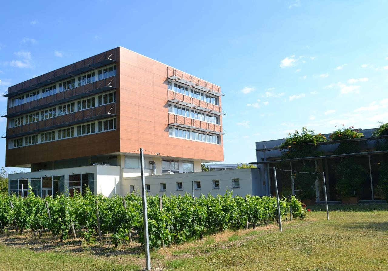 Hôtel de Guyenne Talence Exterior foto